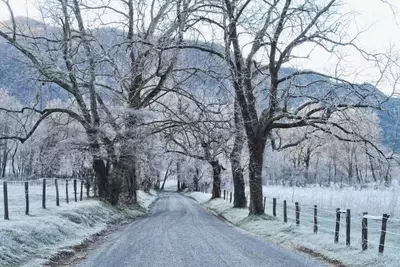 cades cove in winter