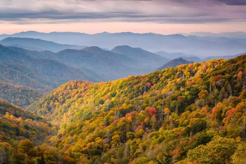 smoky mountain fall foliage