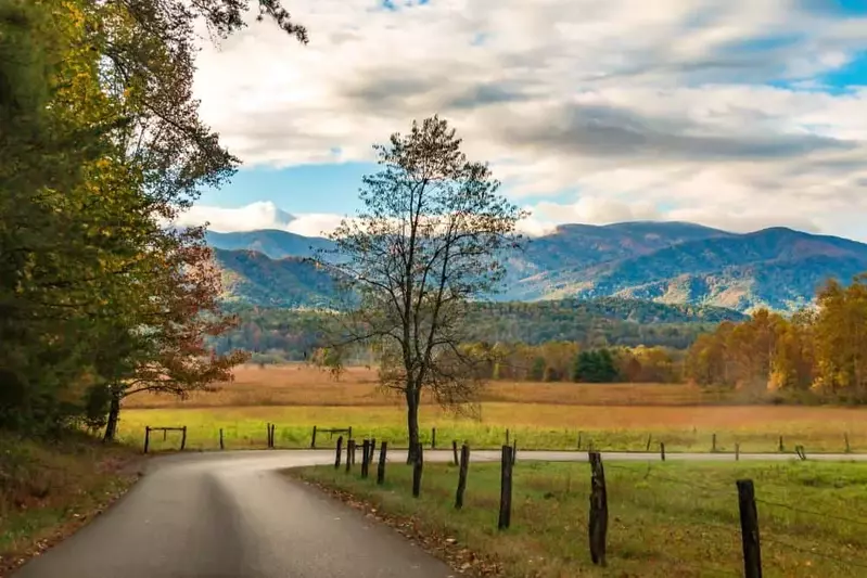 Enjoying a bike along Cades Cove Loop Road on vehicle-free Wednesdays