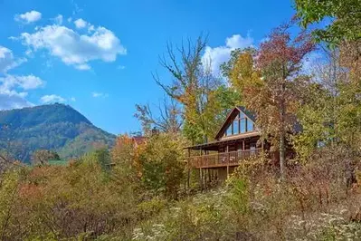 cabin surrounded by fall leaves
