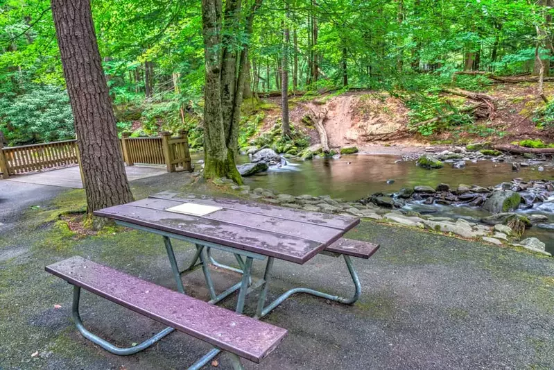 smoky mountains picnic area