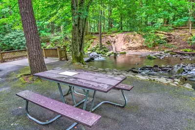 smoky mountains picnic area