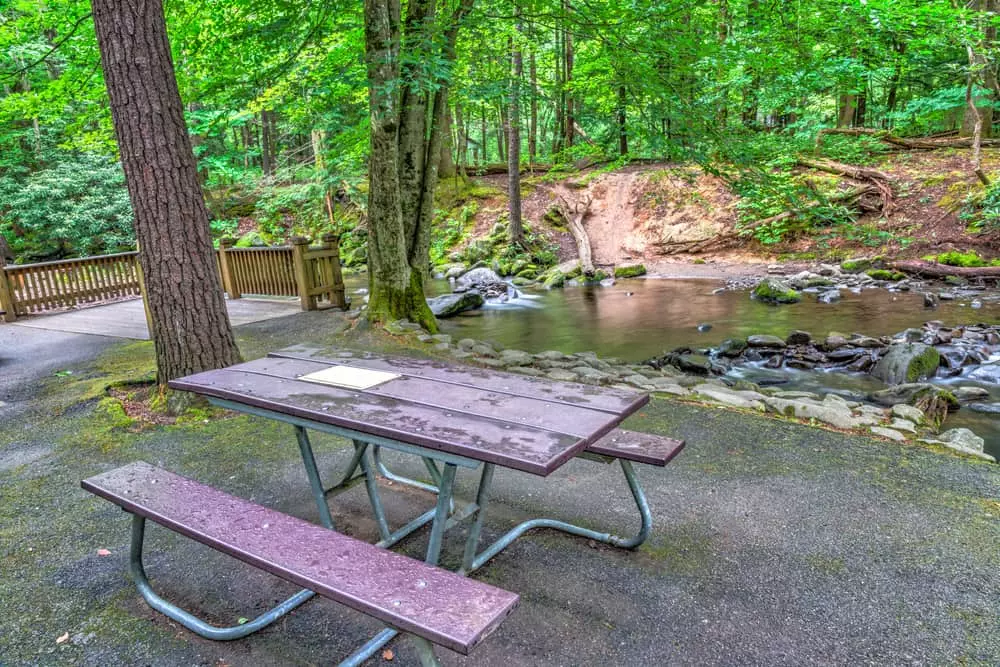 smoky mountains picnic area