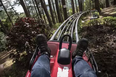 person riding a mountain coaster