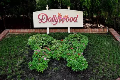 bright colored flowers at Dollywood in shape of a butterfly 