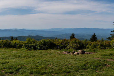 andrews bald best views in the smoky mountains