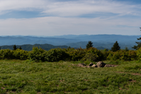 andrews bald has some of the best views in the smoky mountains