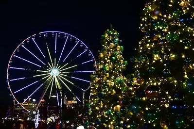 Great Smoky Mountain Wheel and Christmas Trees