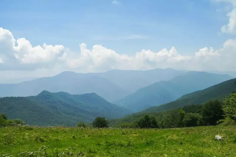 smoky mountains in the summer