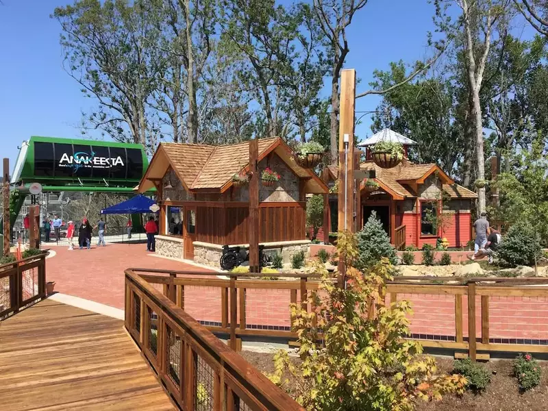 Firefly village at Anakeesta