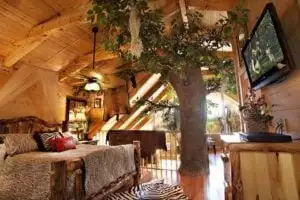 tarzan and jane cabin
