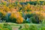 Stunning fall colors in Cades Cove.