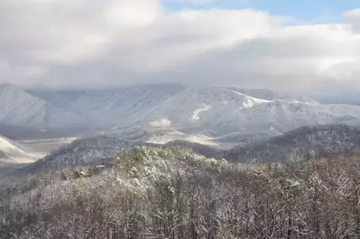 Snowy day in the Great Smoky Mountains
