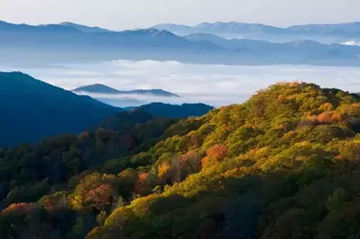 Fall colors in the Smoky Mountains