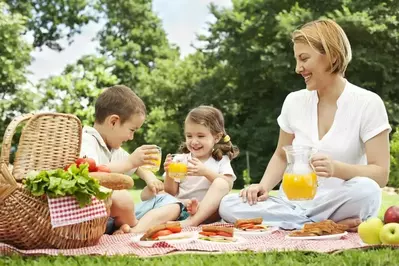 Family_picnic_near_our_3_bedroom_Gatlinburg_cabins_with_mountain_views