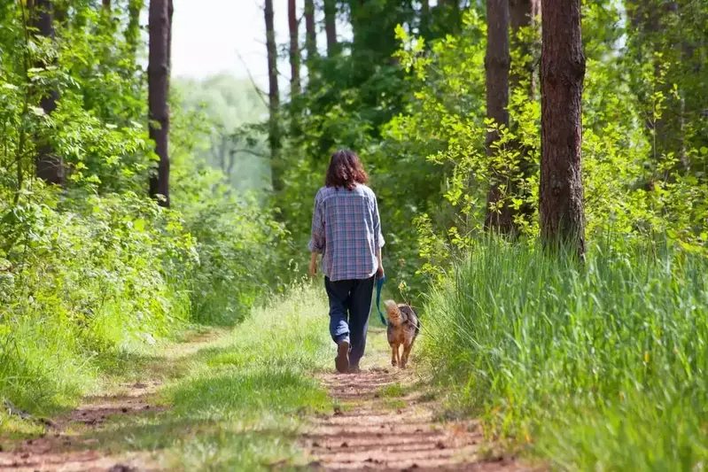 woman walking a dog