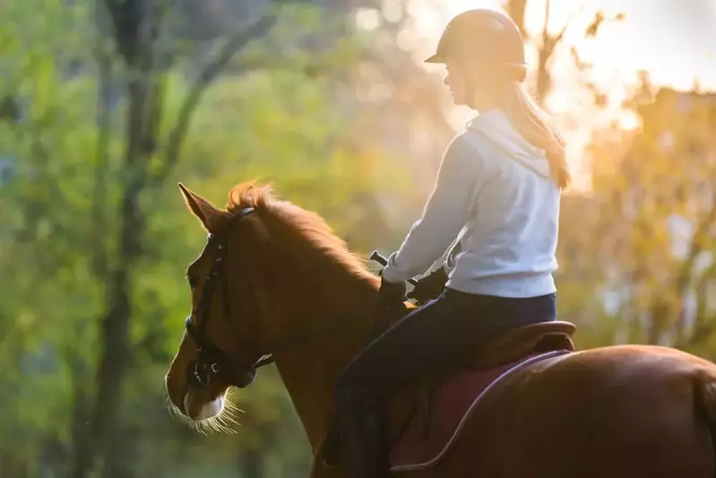 young lady horseback riding in the Smoky Mountains