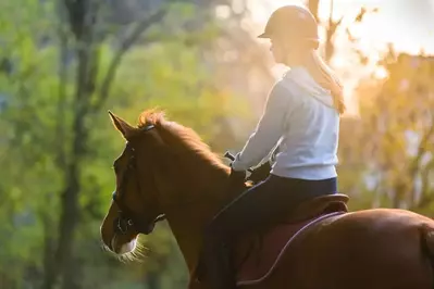 young lady horseback riding in the Smoky Mountains
