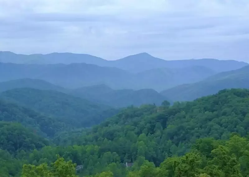 View from Beary Awesome cabin