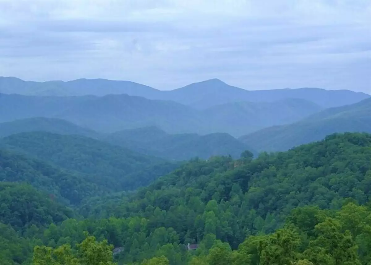 View from Beary Awesome cabin