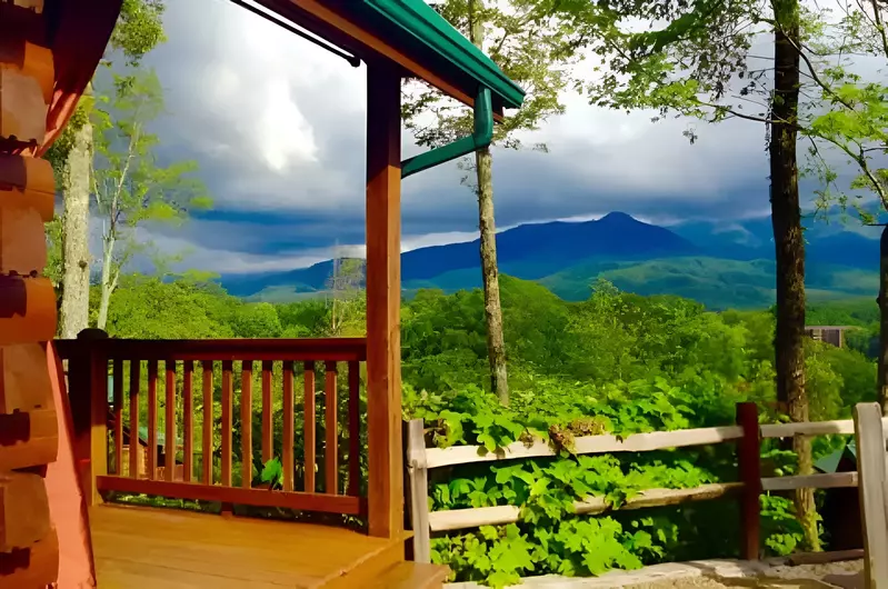 body and soul cabin