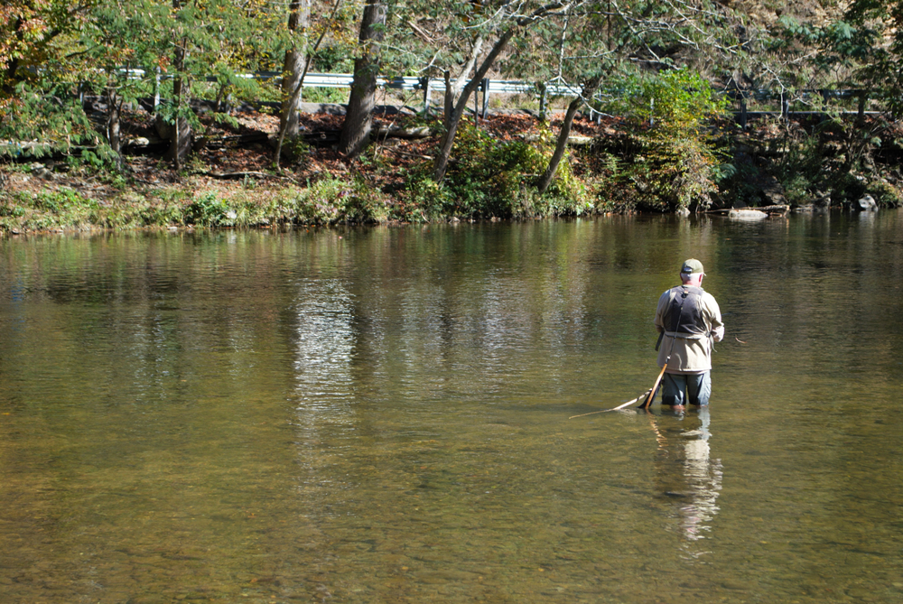 man fly fishing in Smoky Mountain stream