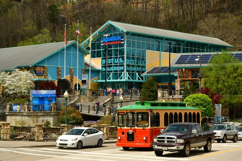 Ripley's Aquarium of the Smokies in Gatlinburg TN
