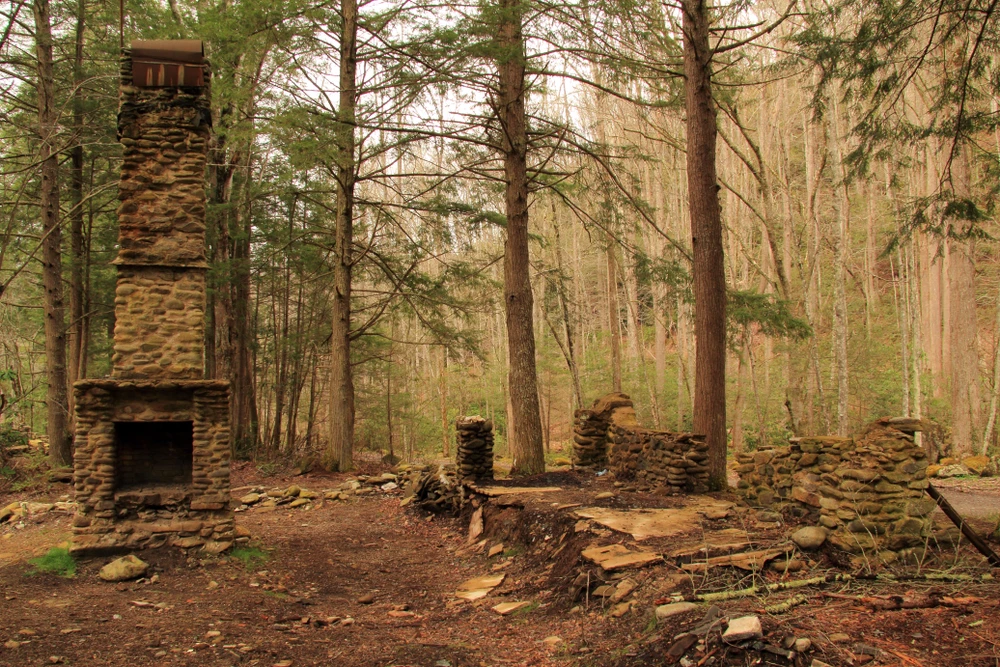 stone chimney and foundation remains in Elkmont Ghost Town