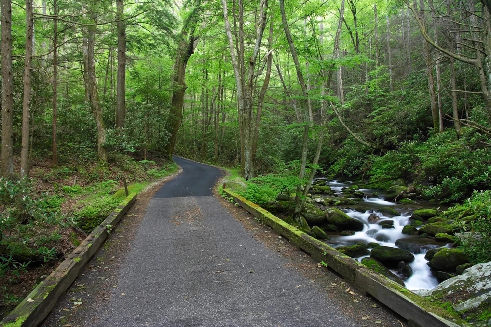 Roaring Fork Motor Nature Trail crossing mountain stream
