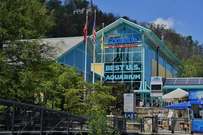 ripley's aquarium is one of the Ripley's attractions in Gatlinburg TN