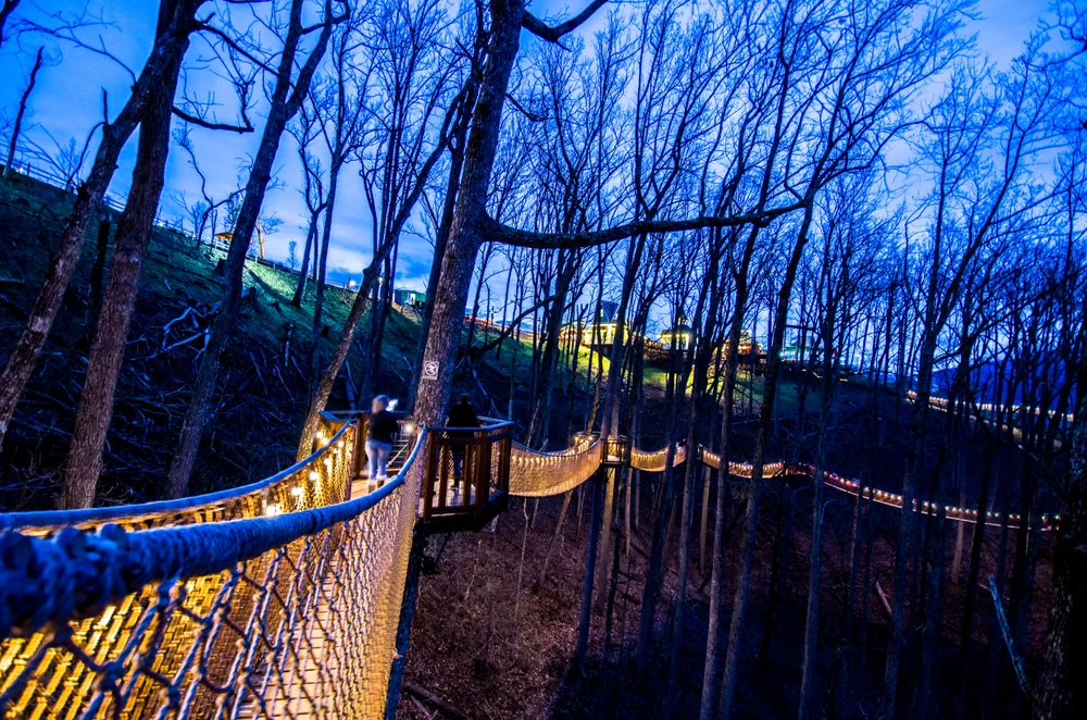 Treetop Skywalk anakeesta gatlinburg