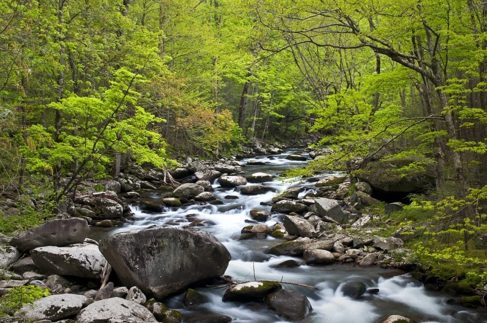 a scenic river in the smoky mountains