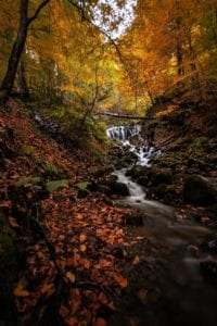 Autumn_stream_in_the_Great_Smoky_Mountains_National_Park