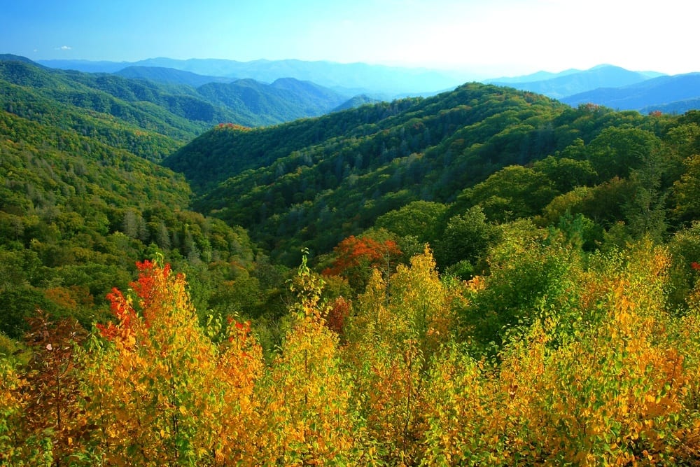 Early fall colors in the Smoky Mountains