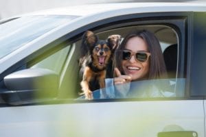 Woman_and_dog_in_a_car_on_the_road_to_one_of_our_pet_friendly_cabins_near_Gatlinburg_TN_