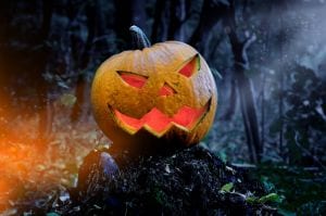 A creepy Halloween jack-o-lantern in the woods.