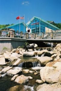 Check Out the Attractions in Gatlinburg