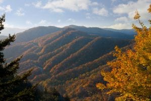 Fall colors in the mountains near Gatlinburg Tennessee.