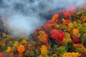 Beautiful Smoky Mountains fall foliage.