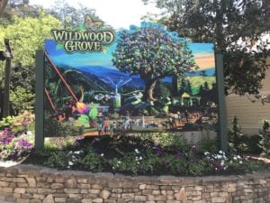 wildwood grove sign in dollywood